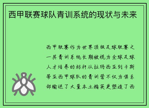 西甲联赛球队青训系统的现状与未来